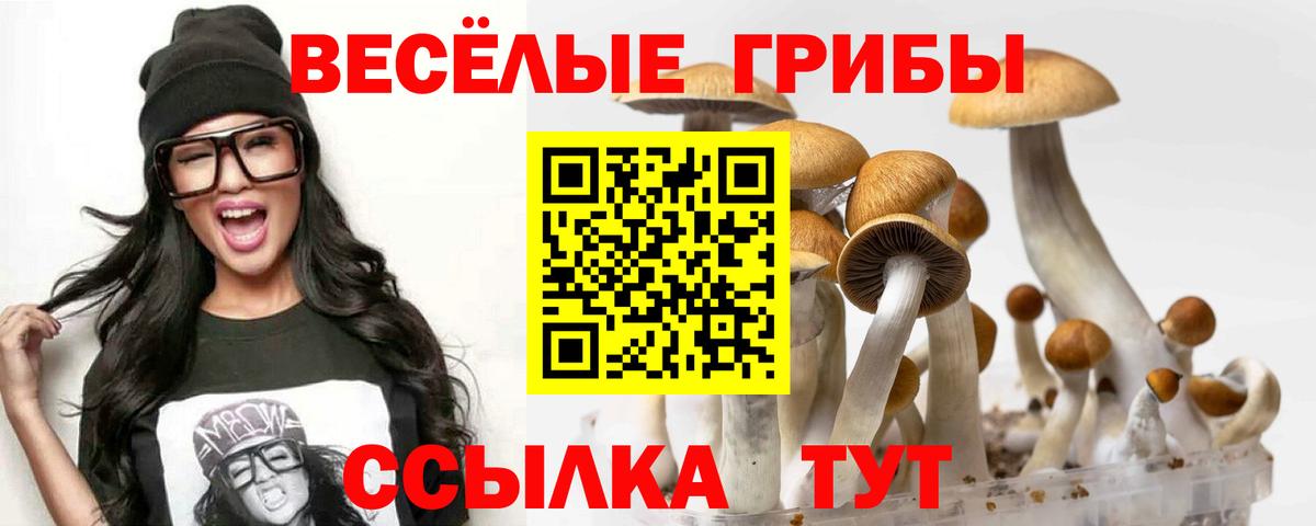 Псилоцибиновые грибы Psilocybe  Вход с VPN  Зерноград 